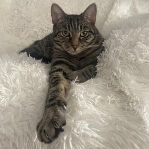 Meet your Posher, Hayley